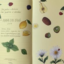 39B9A76E-8D95-444D-BB04-2D2480B11729