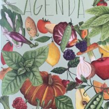 FDF79099-6908-4373-A0AB-1DB7006FA3E8